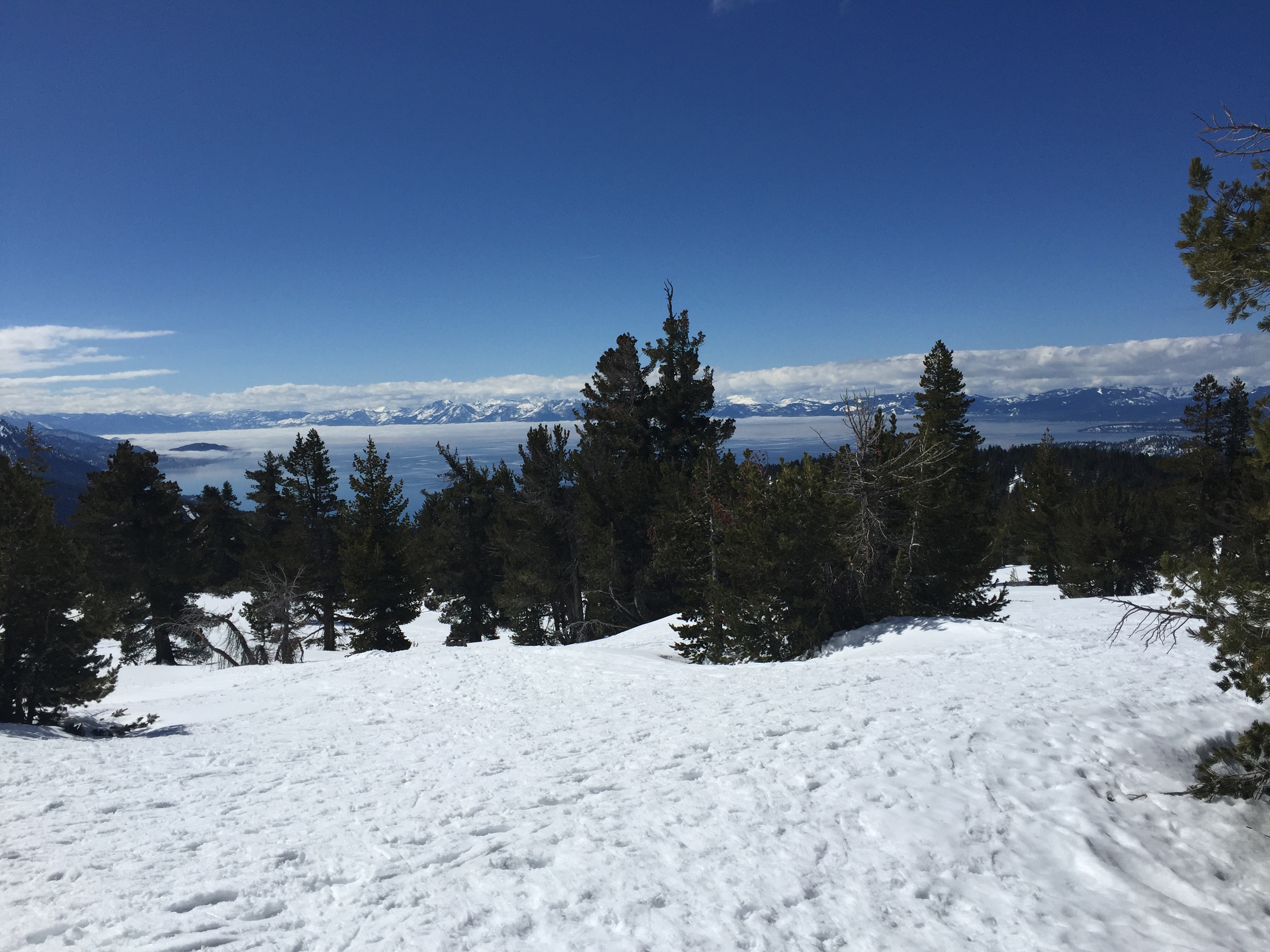 image of Lake Tahoe